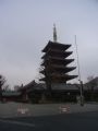 蜜月之旅 (日本東京2009/02/24-2009/02/28)