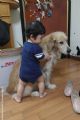 豆龍一歲一個月(2012/4/7-2013/6/7)