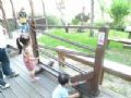 2013/8/11台中親子旅遊~老樹根魔法木工廠