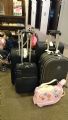 2014/4/20-4/27日本東京之旅~旅遊手機小照片