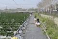 2016/3/6大崗山三本草莓園採草莓 岡山空軍軍官學校「航空教育展示館」