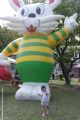 2013/7/27澄清湖熱氣球~沒有看到